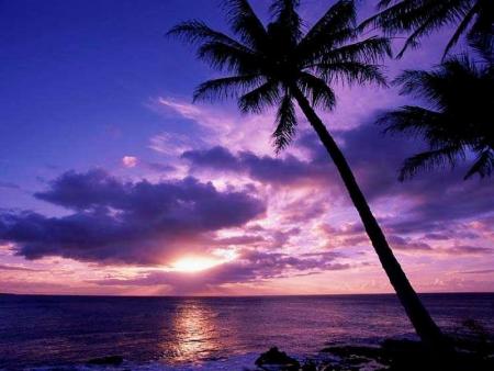 Les vacances...
